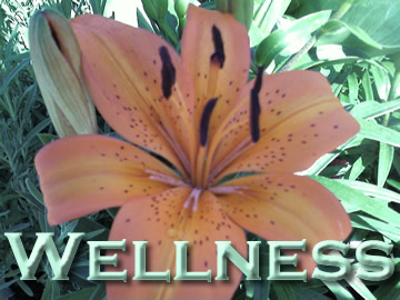 Wellness image